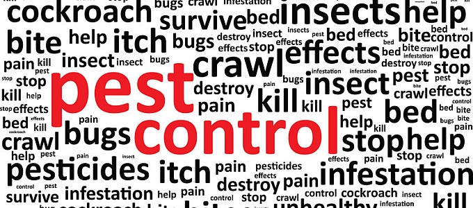 pest control word cloud
