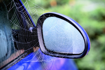 How to Stop Spider Webs on Car Mirrors  